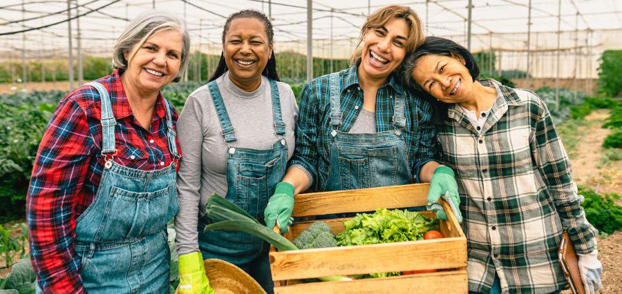 Around 330 Women Farmers Sanctioned for TAMS Grant under WFCIS