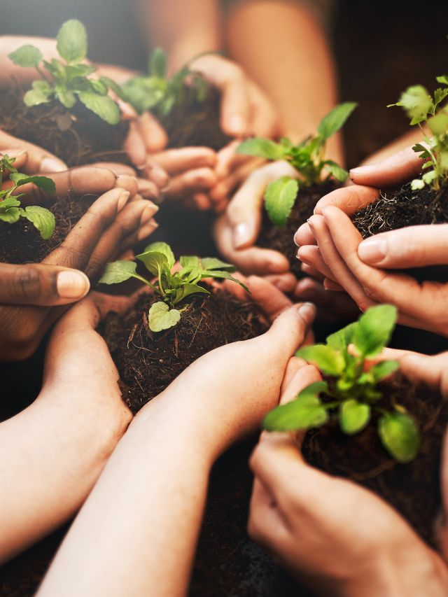 Read more about the article What is Earth Day and why is it celebrated on April 22?